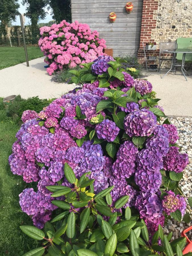 La Grange Aux Hortensias Thiergeville 外观 照片