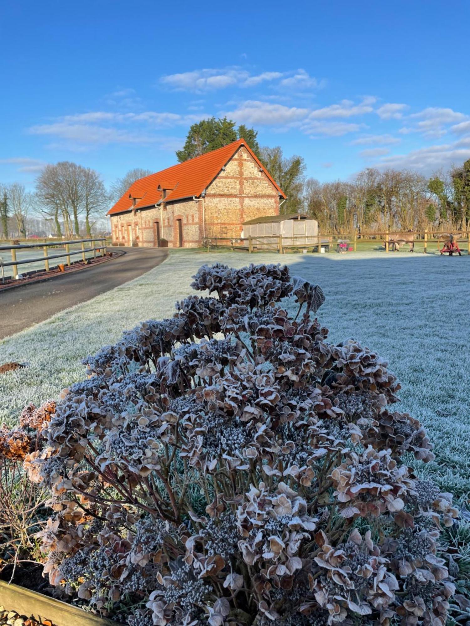 La Grange Aux Hortensias Thiergeville 外观 照片